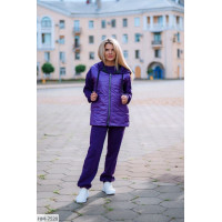 Спортивний костюм HM-7520