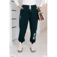 Джоггери IF-8631