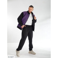 Чоловічий костюм IG-4657
