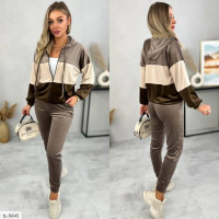 Спортивний костюм IL-9645