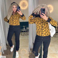 Спортивний костюм IL-9661