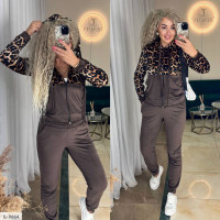 Спортивний костюм IL-9664