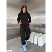 Прогулянковий костюм IM-9817