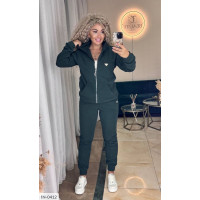 Спортивний костюм IN-0412