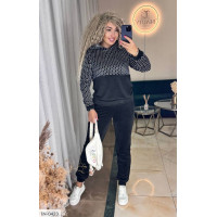 Спортивний костюм IN-0423