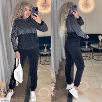 Спортивний костюм IN-0425