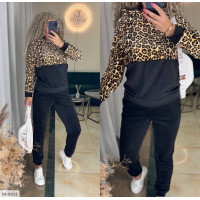 Спортивний костюм IN-0431