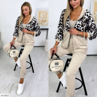 Спортивний костюм IN-0433