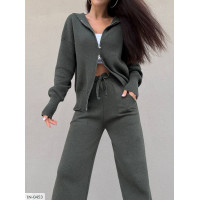 Прогулянковий костюм IN-0453