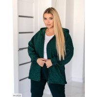 Спортивний костюм IN-0523