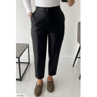 Брюки IN-0817