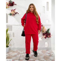 Спортивний костюм IN-1223