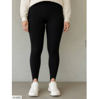 Лосини IN-1906