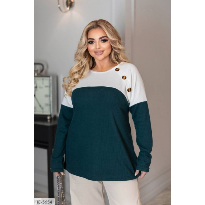 Купити Кофта IE-5654