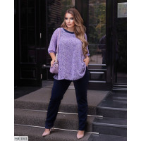 Прогулянковий костюм HB-1041