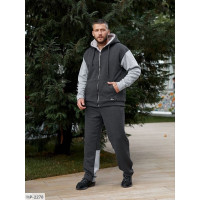 Спортивний костюм HP-2278