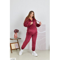 Спортивний костюм IL-9065