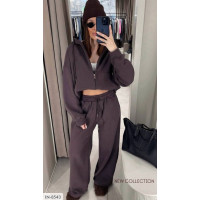 Прогулянковий костюм IN-8543