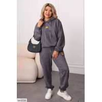 Спортивний костюм IN-8728
