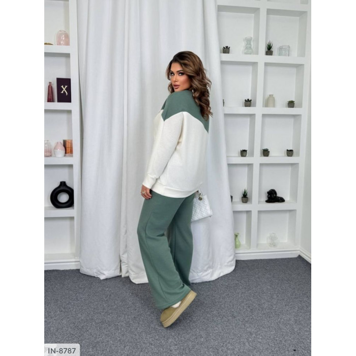 Жіночі костюми Plus Size IN-8787 — впевненість і стиль