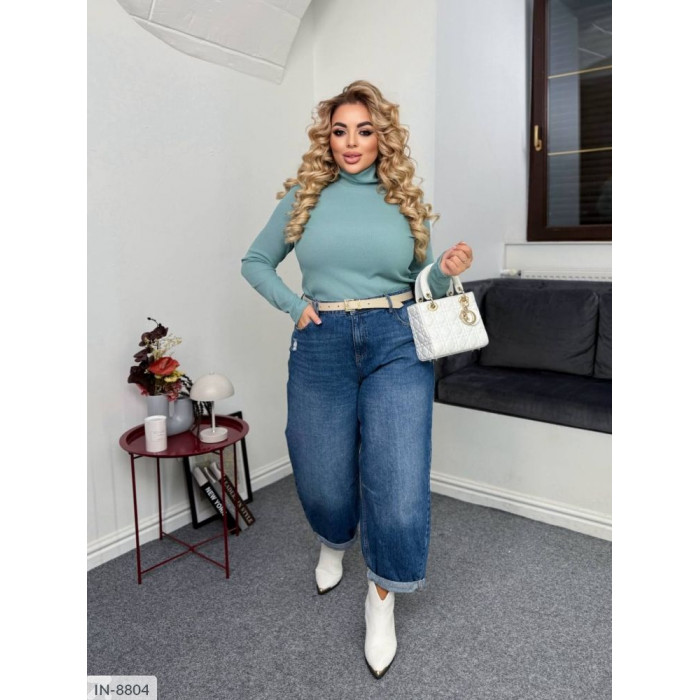 Светри Plus Size IN-8804 — комфорт і стиль