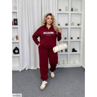 Спортивний костюм IN-8816