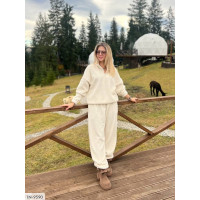 Прогулянковий костюм IN-9590