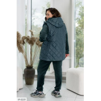 Спортивний костюм IP-0219