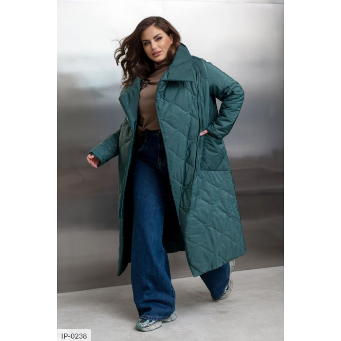 Куртки і пальта XL+ IP-0238 — сучасний стиль