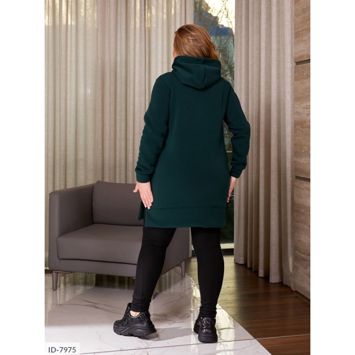 Купити Прогулянковий костюм ID-7975