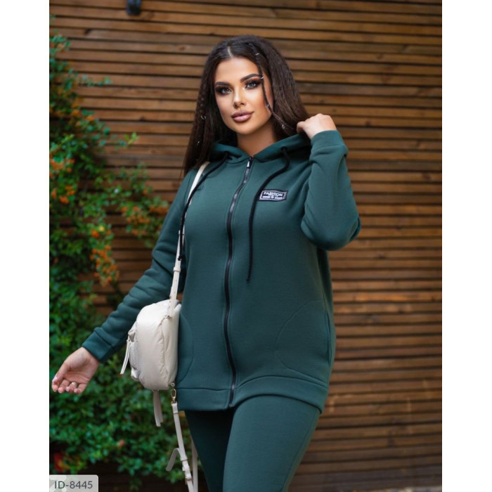 Купити Прогулянковий костюм ID-8445