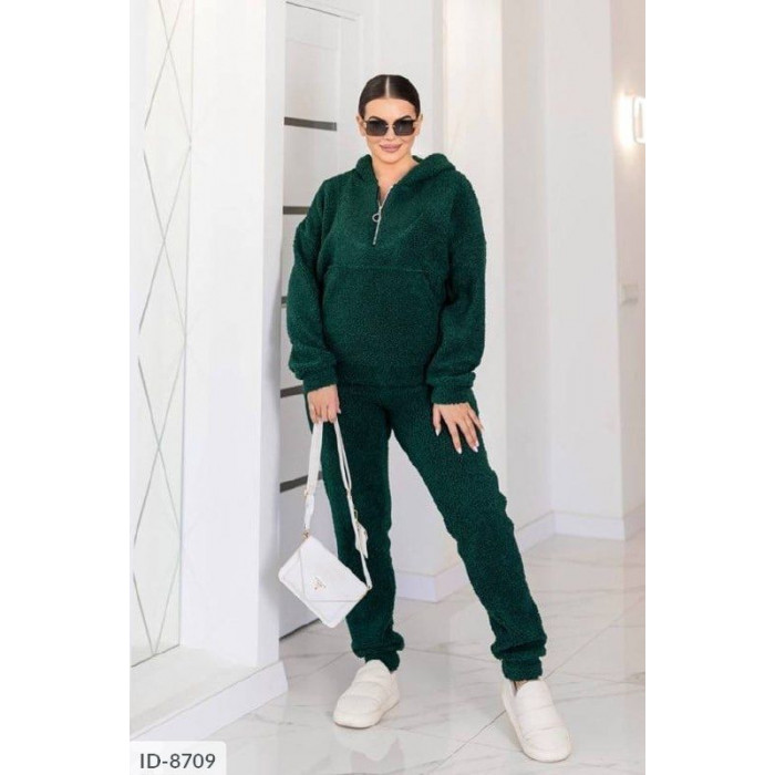 Купити Прогулянковий костюм ID-8709
