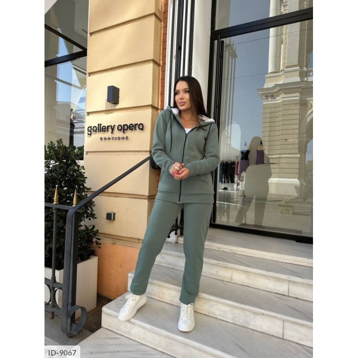 Купити Прогулянковий костюм ID-9067