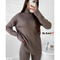 Прогулянковий костюм ID-9467