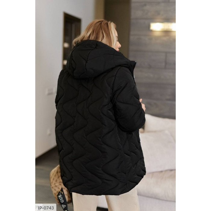 Куртки і пальта XL+ IP-0743 — сучасний стиль