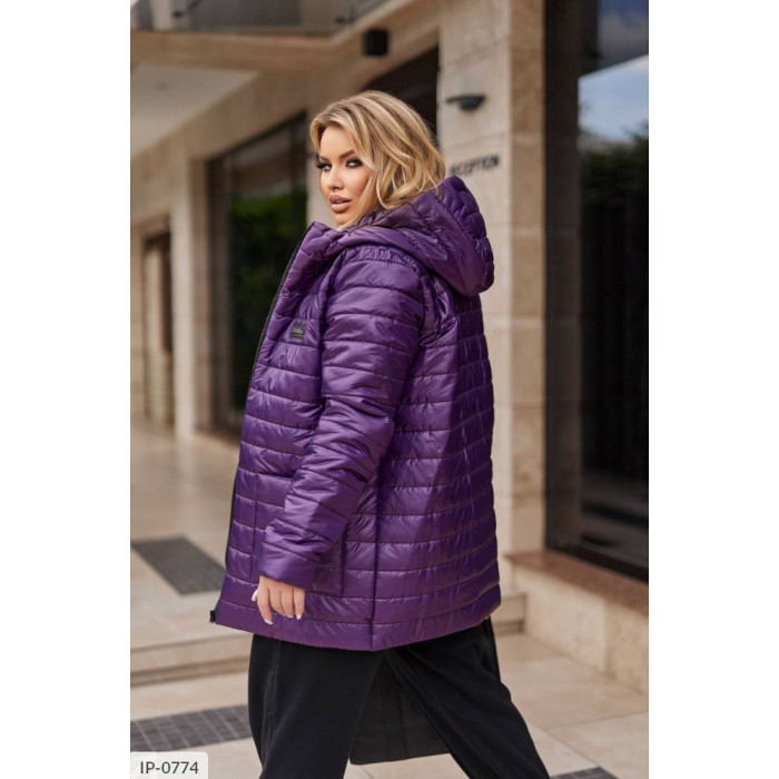 Куртки і пальта XL+ IP-0774 — сучасний стиль