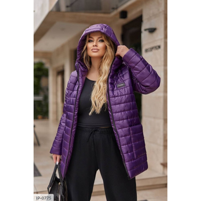 Куртки і пальта XL+ IP-0775 — сучасний стиль