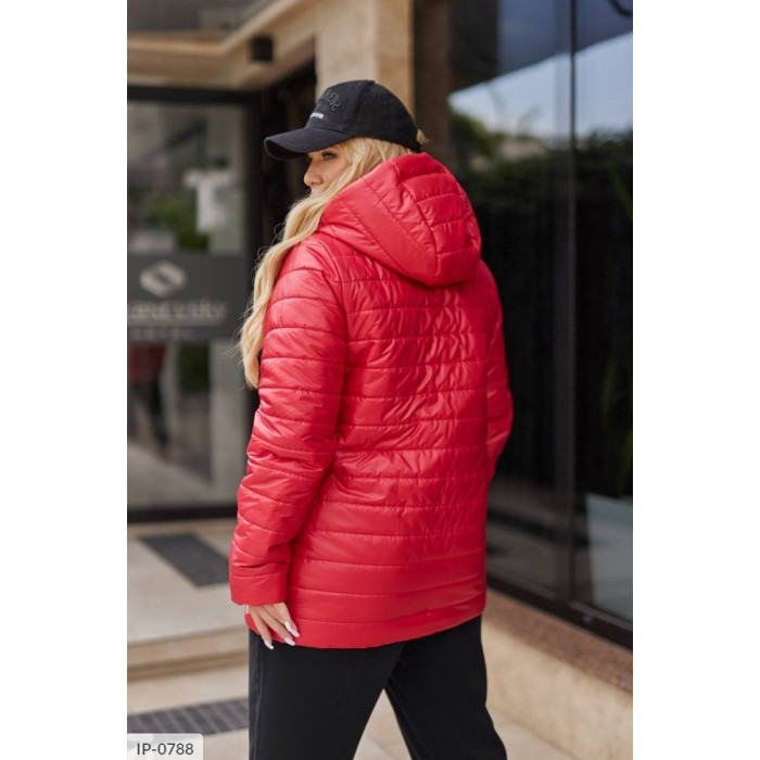 Верхній одяг великого розміру IP-0788 — твій комфорт