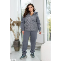 Прогулянковий костюм IP-0823