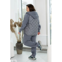 Прогулянковий костюм IP-0824