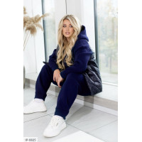 Прогулянковий костюм IP-0825