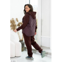 Прогулянковий костюм IP-0833