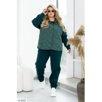 Прогулянковий костюм IP-0835