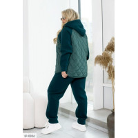 Прогулянковий костюм IP-0836