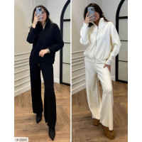 Прогулянковий костюм IP-0899