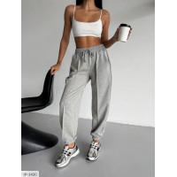 Джогери IP-1420