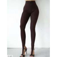 Лосини IP-1603