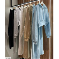 Прогулянковий костюм IP-1661