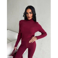 Прогулянковий костюм IP-1688