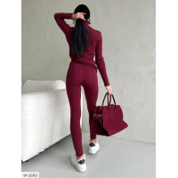 Прогулянковий костюм IP-1693